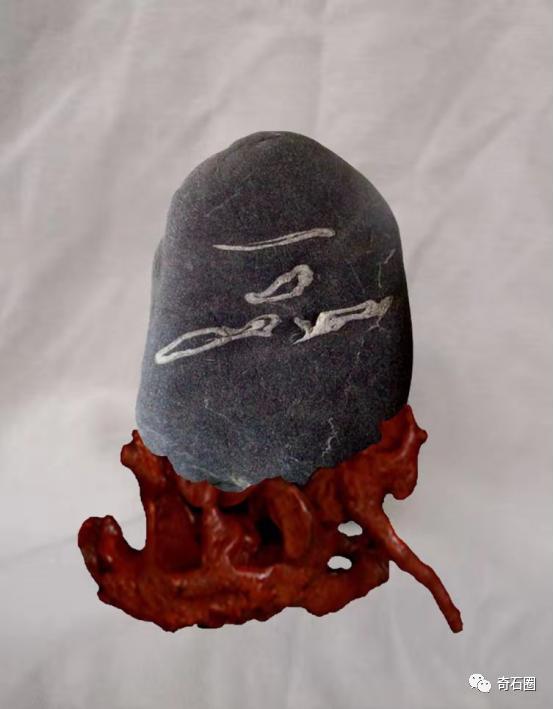 不瞒你说，这些石头你去了主人家里都未必能看到