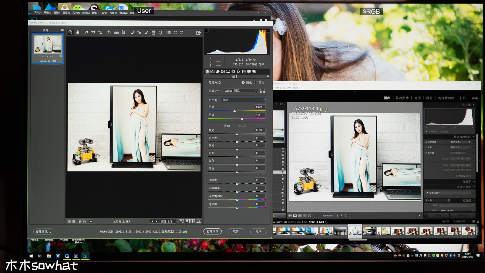 双显示器色彩调节,双显示器色彩调整