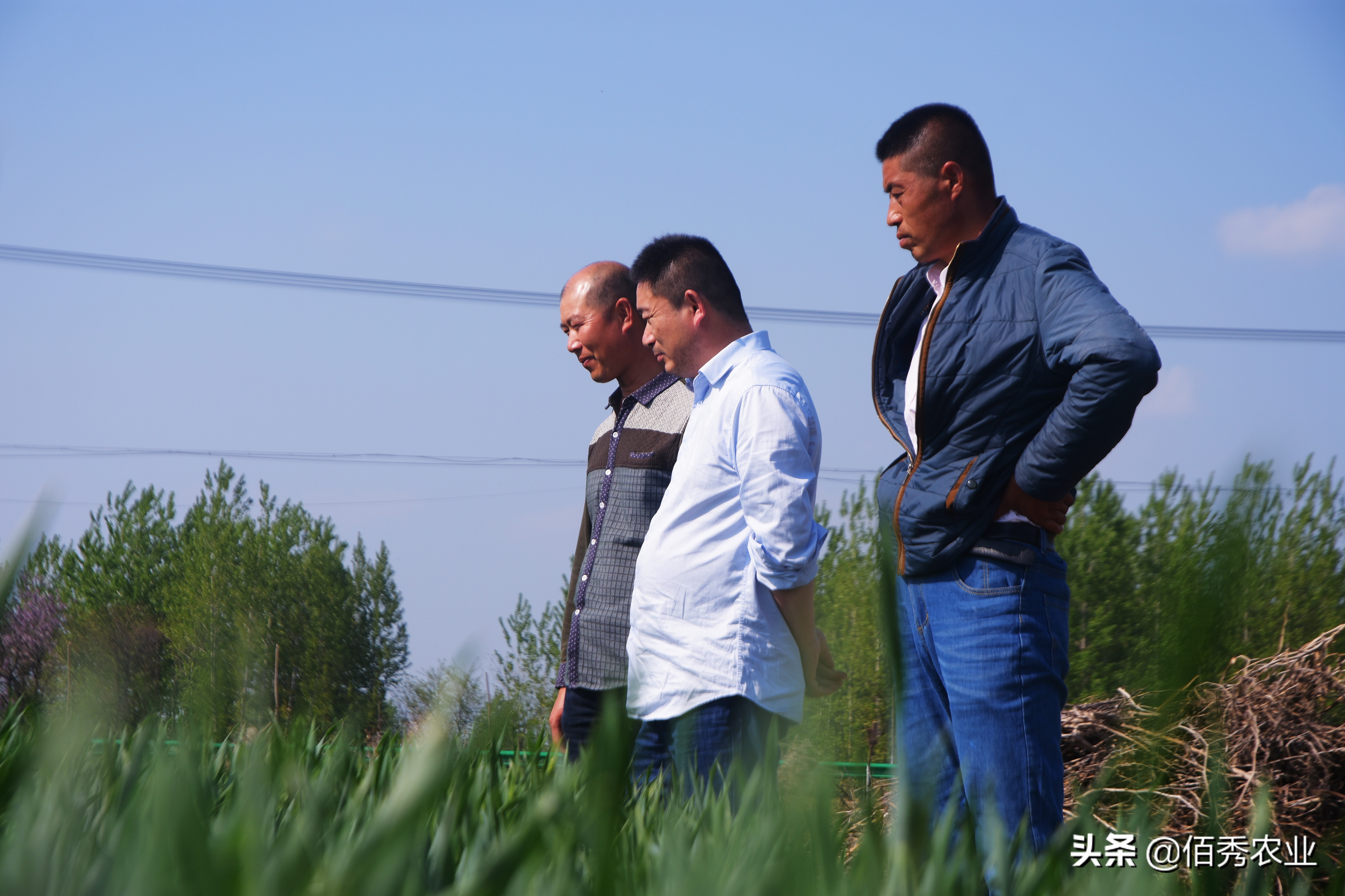 农村遇到合不来的邻居怎么办,遇到邻居拱地边怎么办