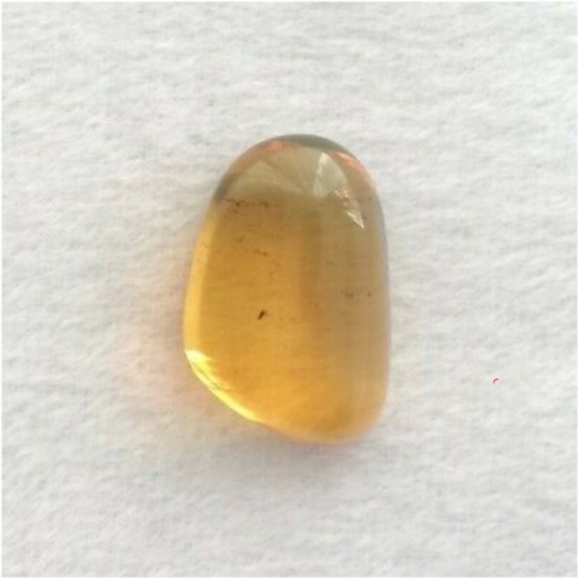 辽宁琥珀产地哪里最好,琥珀蜜蜡的主要产地有哪些