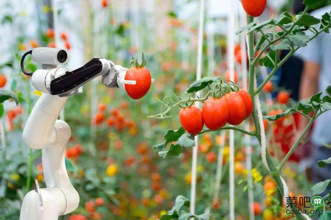 荷兰是世界强国吗,荷兰最难入侵吗