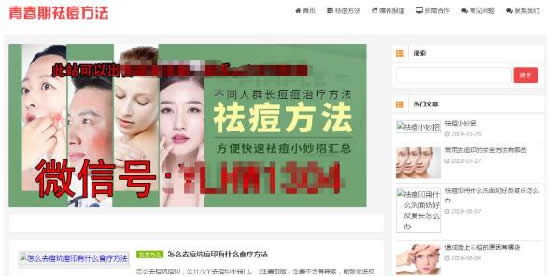 网站盈利模式是怎么盈利的,如何制作高流量网站赚钱