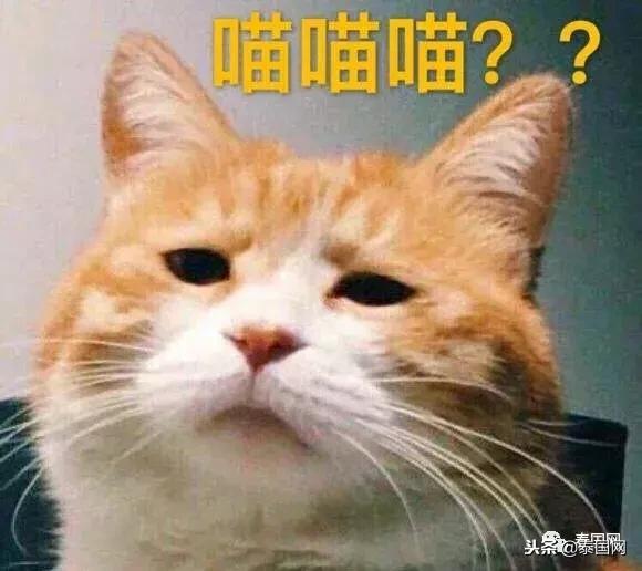 泰国酒吧有什么猫腻,拒绝陪酒而被客人打