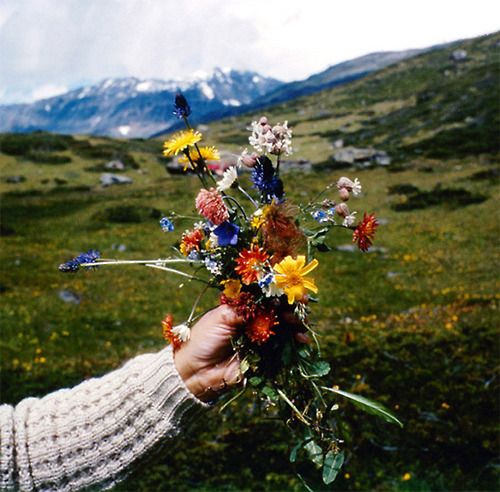 2021一个人最好的生活状态,2020年如何过好自己的生活