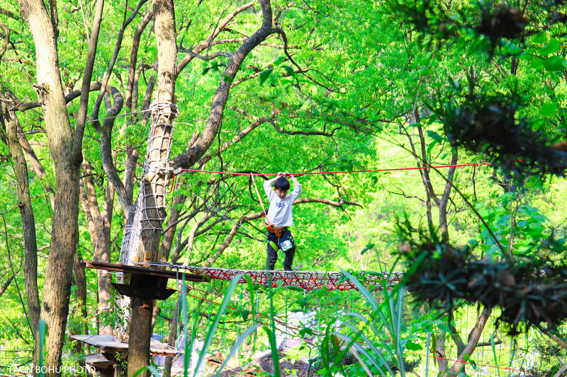衢州常山春日旅游攻略,常山小众景点