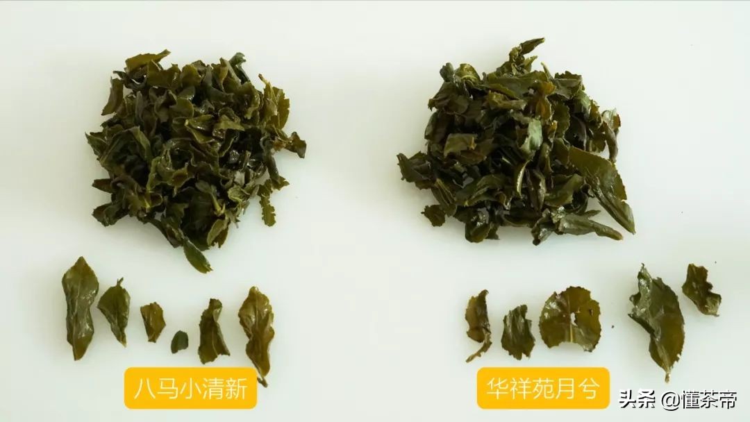 八马蓝罐清香铁观音测评,华祥苑铁观音对比八马茶业