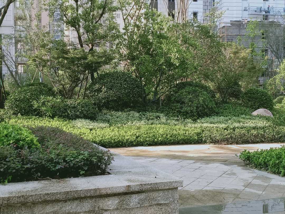 忆当初青春年少,再忆青春完整版