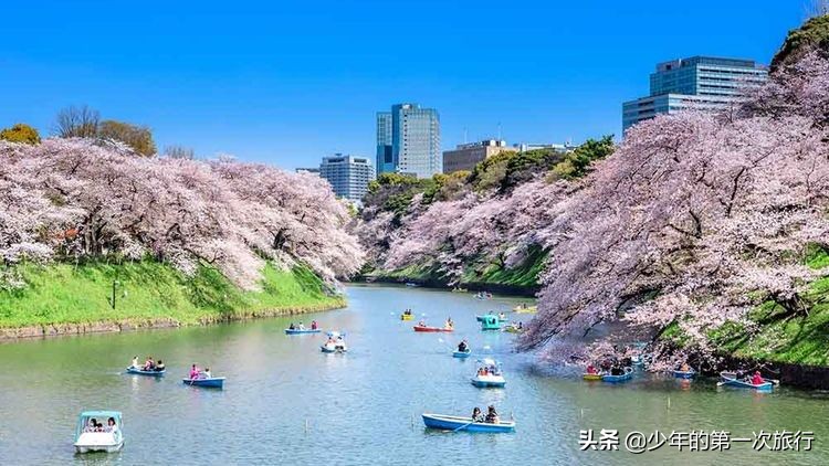 东京住宿东京旅游攻略,东京旅游攻略4天详细地址