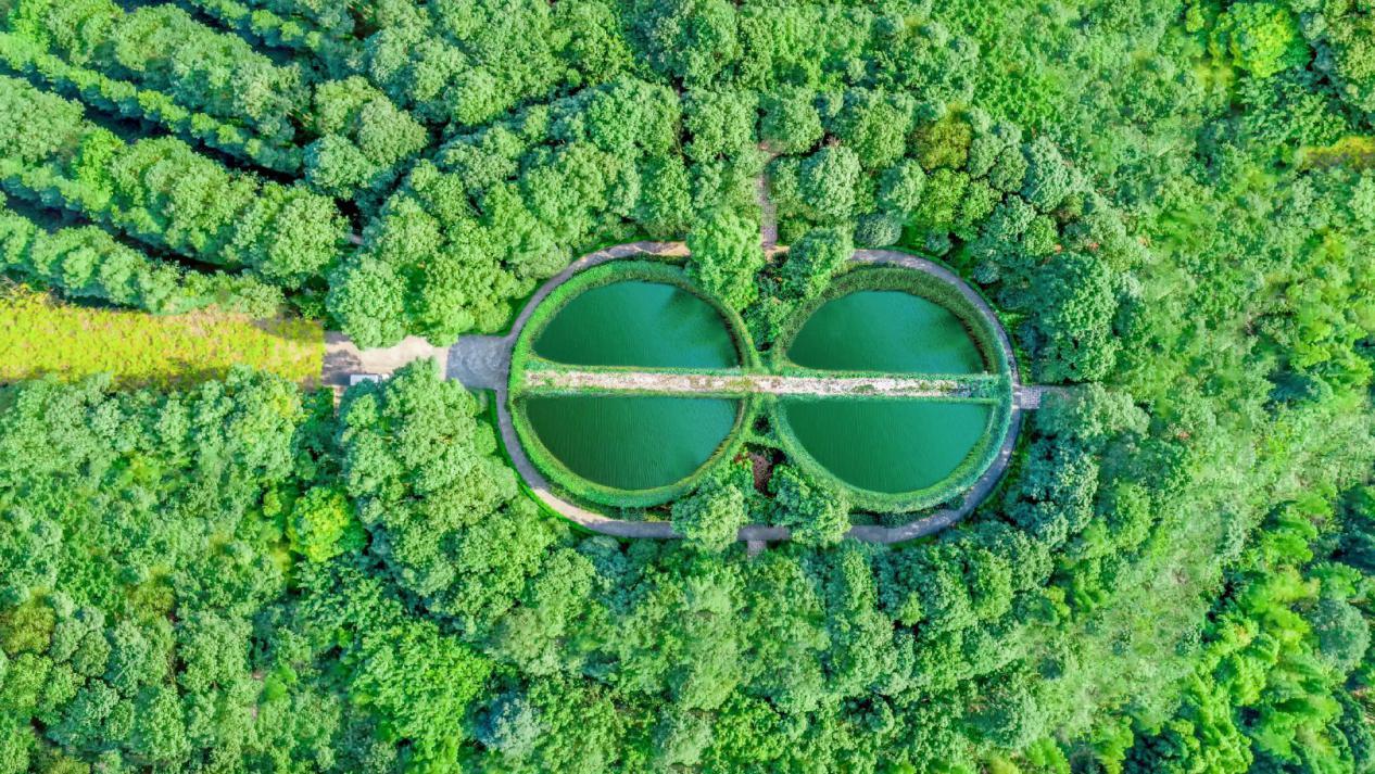 涓栫晫鍚嶉厭鍜屽▉澹繉瀵规瘮,涓栫晫鍗佸ぇ鍚嶉厭vs涓浗鍗佸ぇ鍚嶉厭