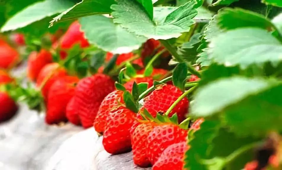 憋坏了吧,诸位!大午温泉在等你……