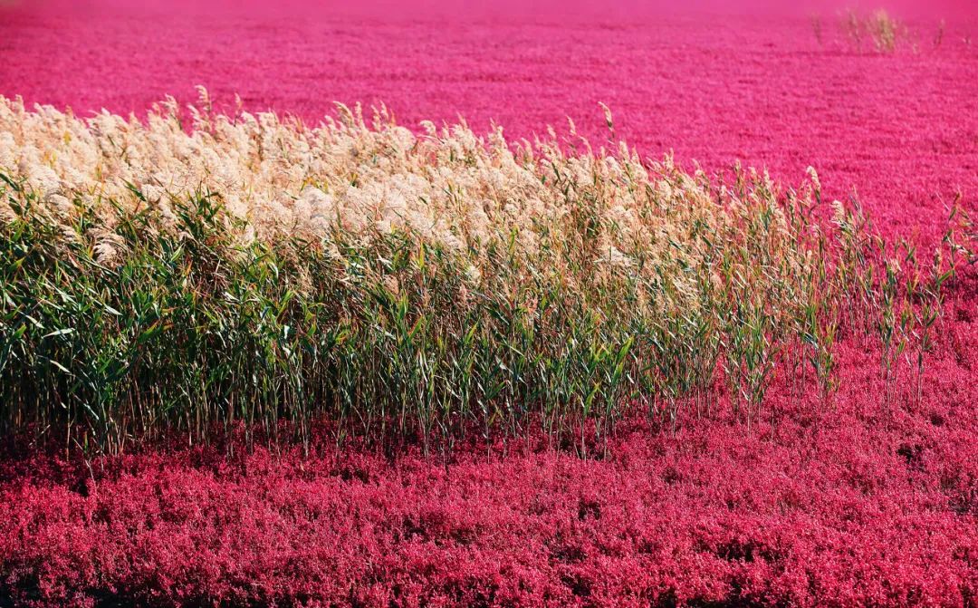 这才是国内34省区的最美天堂!