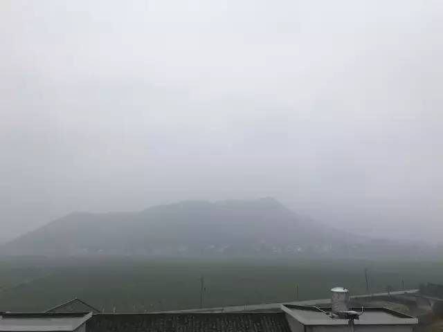 湖南益阳被救女孩,湖南益阳女子被救助