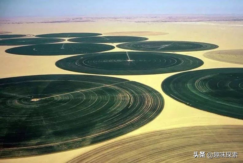 哨兵2号卫星地图在线看,哨兵2卫星地图