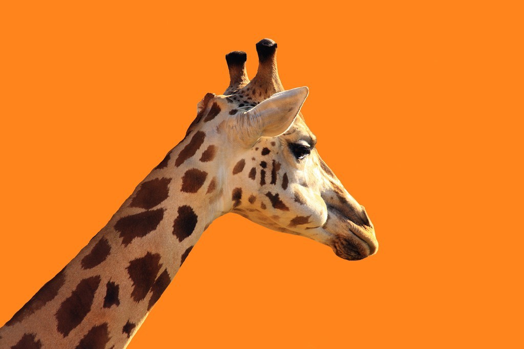 别克英朗和大众朗逸哪个质量更好,别克英朗1.3和朗逸1.4加速