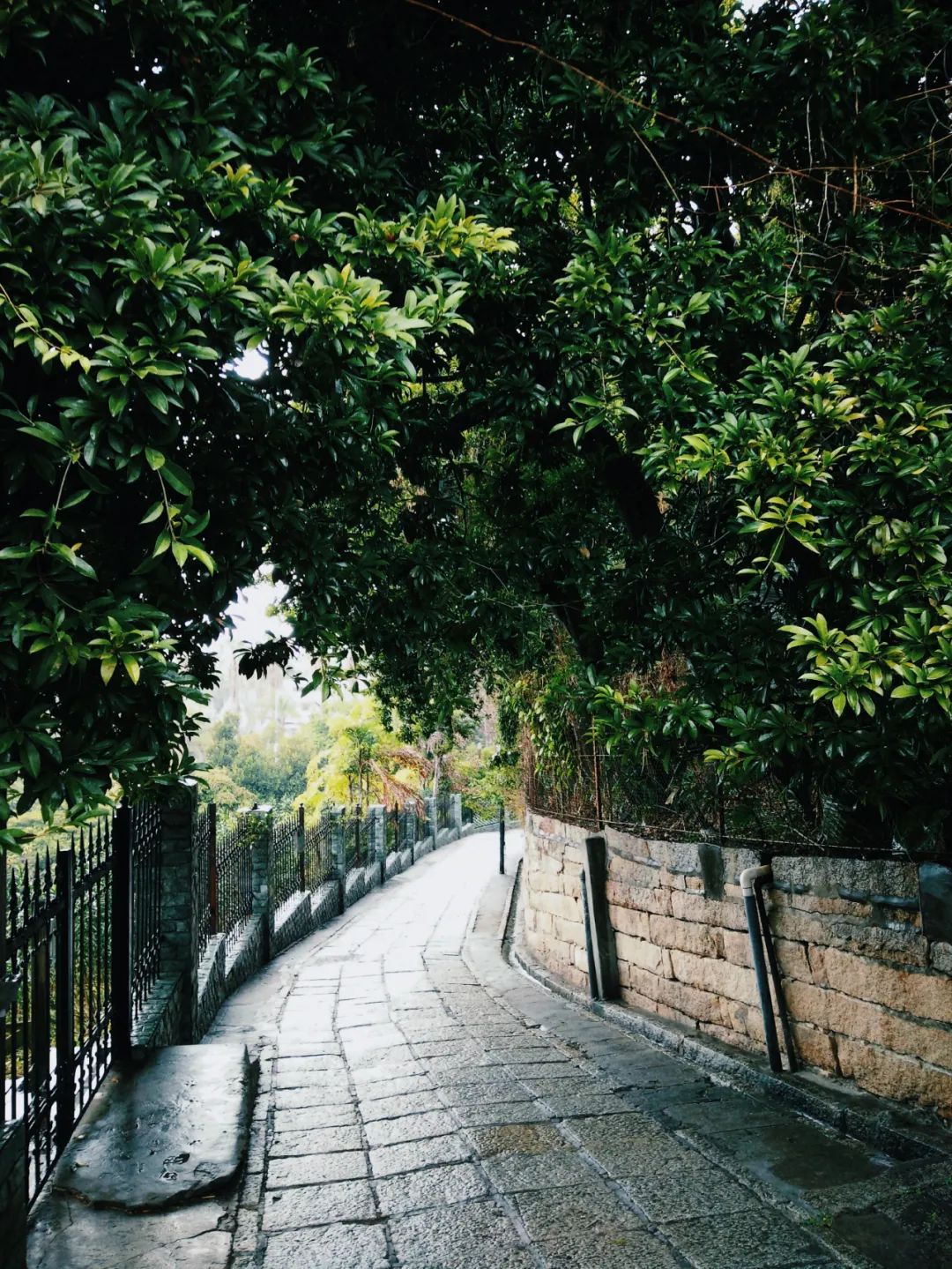 鼓浪屿，是一个处处充满文艺，清新，美景与历史的岛屿