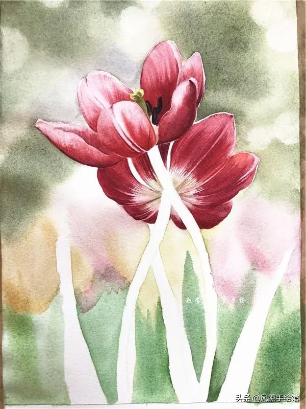 怎么用水彩笔画郁金香教程,粉色水彩郁金香怎么画图片