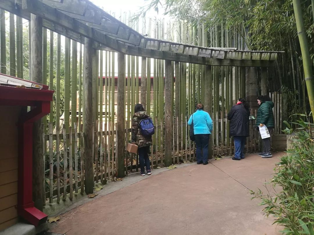 亚特兰大动物园,亚特兰大动物园和华盛顿动物园