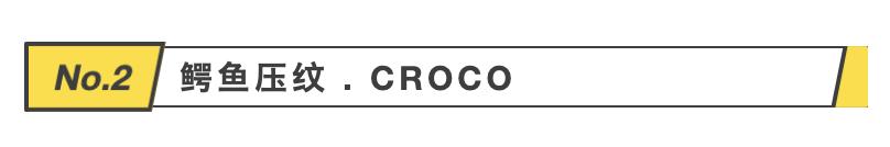 2023时装周包包,2020年秋冬流行的大牌包包