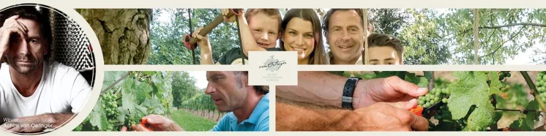 vdp德国酒庄联盟,vdp莱茵高半干白葡萄酒