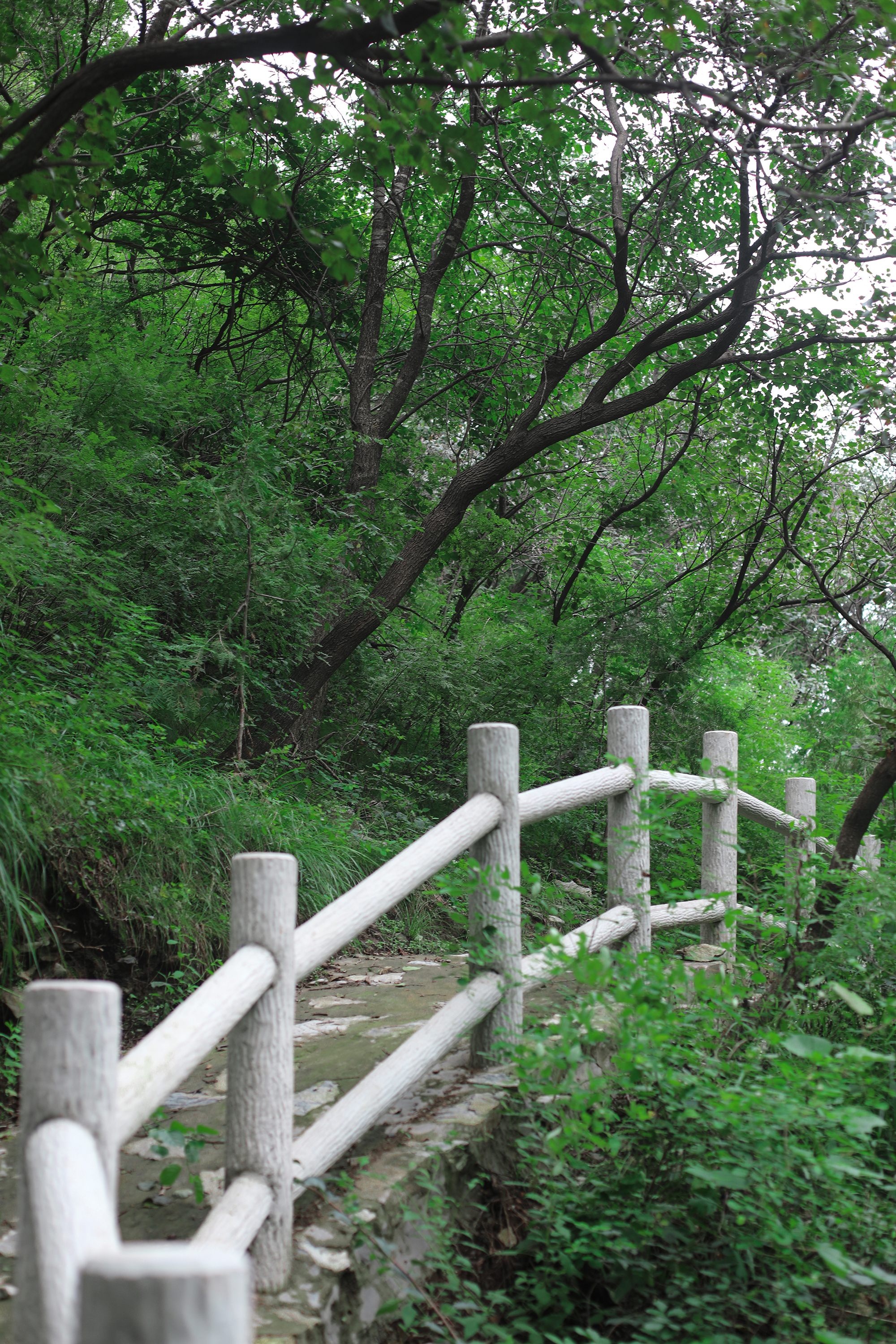 京郊房山登山路线,房山东港登山步道