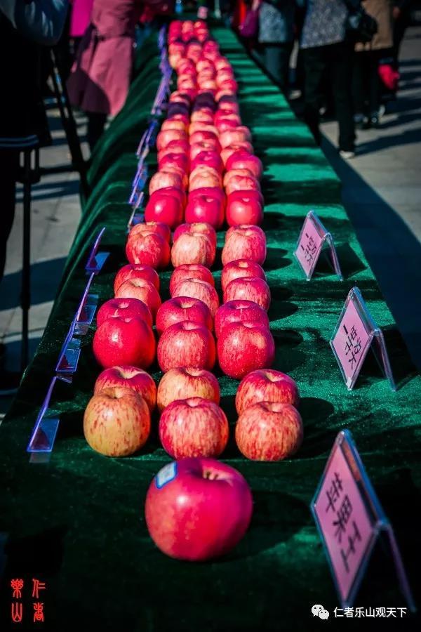 花卉蔬菜制作教程,花卉怎么做