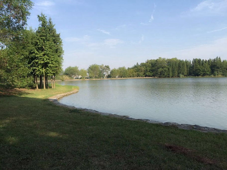 江浙安徽烟雨江南,合肥江南十大景点
