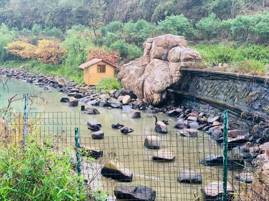 福建人游福建|厦航国旅首发团，邀您一起共赏好*光春**