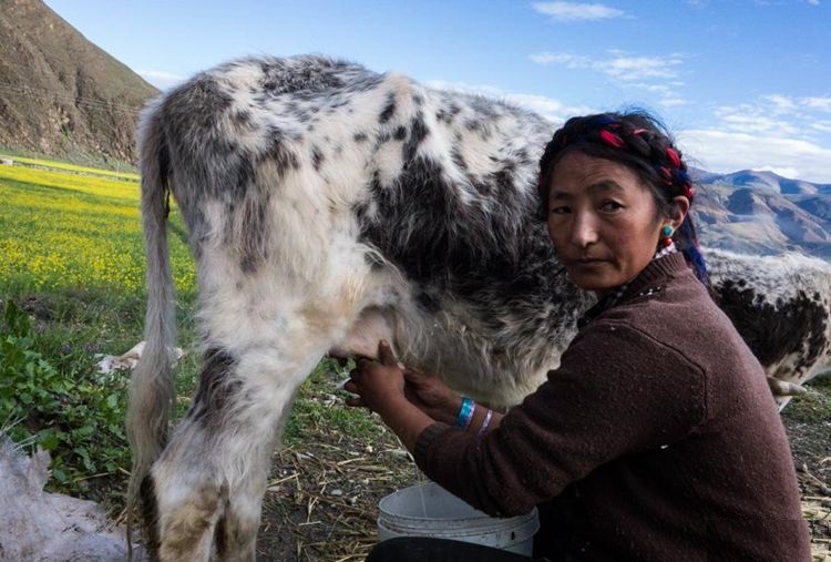 闈掑北缁挎按鎵嶆槸鍋ュ悍闀垮鏍规湰淇濊瘉,闈掑北缁挎按涓嶅骞冲钩瀹夊畨