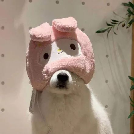 盲僧刷野路线还有技巧,盲僧也敢挑战天神