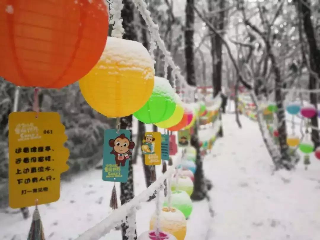 第25届峨眉山冰雪温泉节怎么抢票,2023峨眉山冰雪温泉节是干嘛的