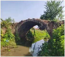 茶马古道全集版,茶马古道下集