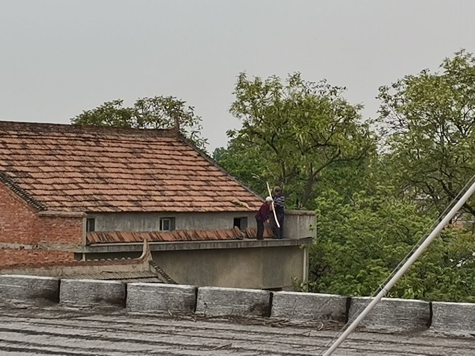 养殖致富项目一万元,农村靠谱小成本养殖项目