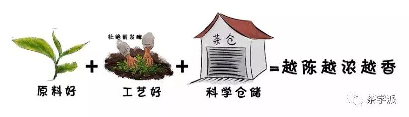 茶江湖六大名茶,茶江湖武夷山岩茶