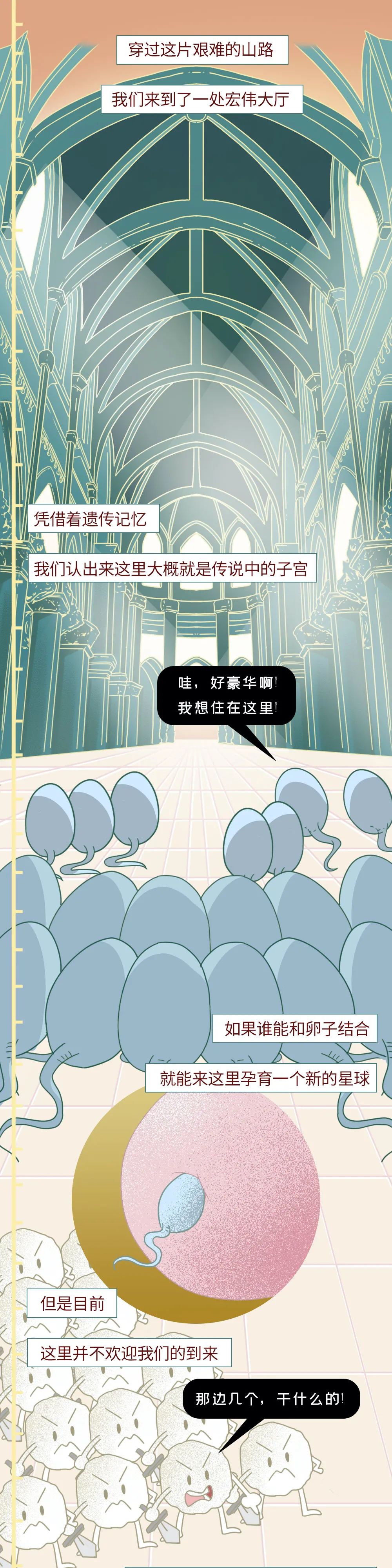 科普知识精子液化后的状态,男性精子在体内存活时间