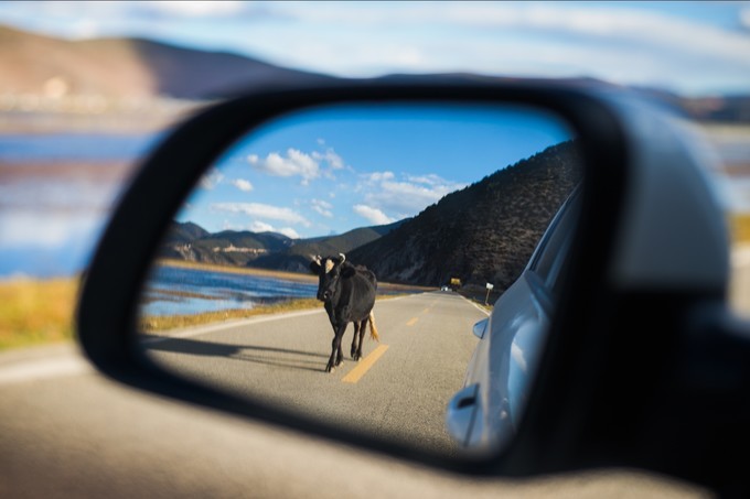 消失的地平线上的“香巴拉”和“女儿国”（二）