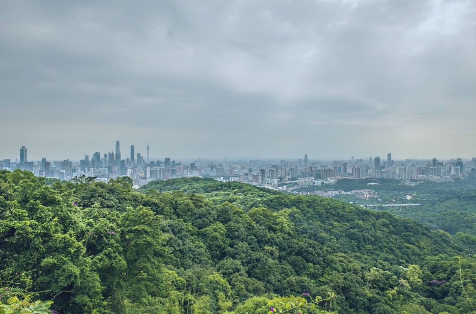 广州白云山风景区有山爬吗,广州白云山哪个入口风景最好