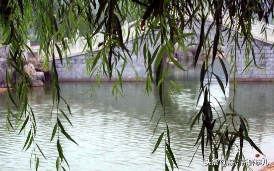 涿州小区最新排名,涿州小区名称都有哪些