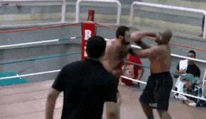 搞笑gif一看就是聪明人,搞笑gif趣图果然是亲生的笑死我了