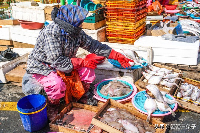 去韩国不购物回来的感受,去韩国一定要买什么