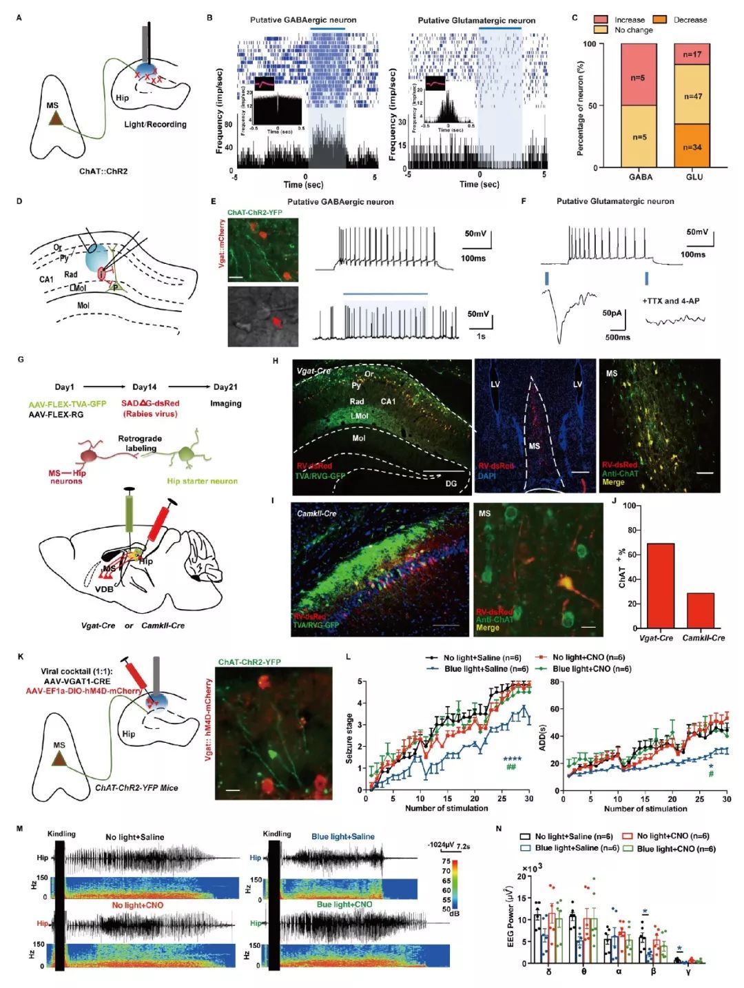 癫痫医学新突破,脑科学对于精神病的最新研究