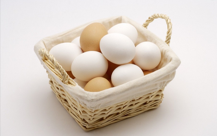 狗狗怀孕了怎么办？别怕，这样做准没错！