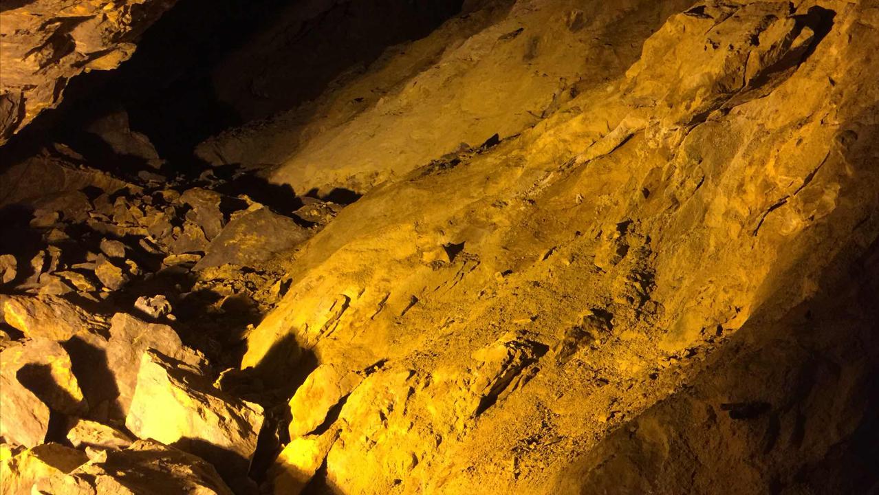 河南发现大型金矿价值超百亿,河南发现特大型金矿大概多少元