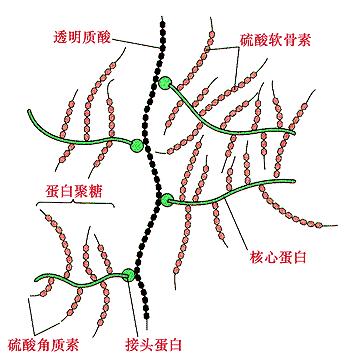 修丽可紫米精华液真实评测,修丽可紫米精华值不值得买