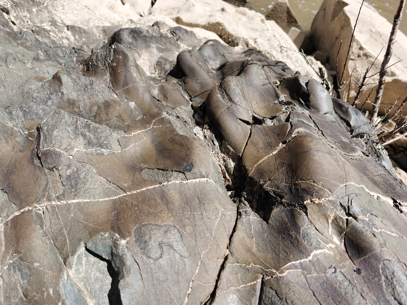 看不尽的佛塔，纯粹的信仰之路·第十天