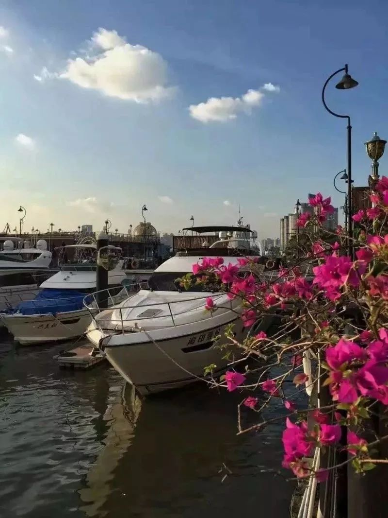 干货丨在广州来这拍照就对啦,制霸朋友圈从今天开始