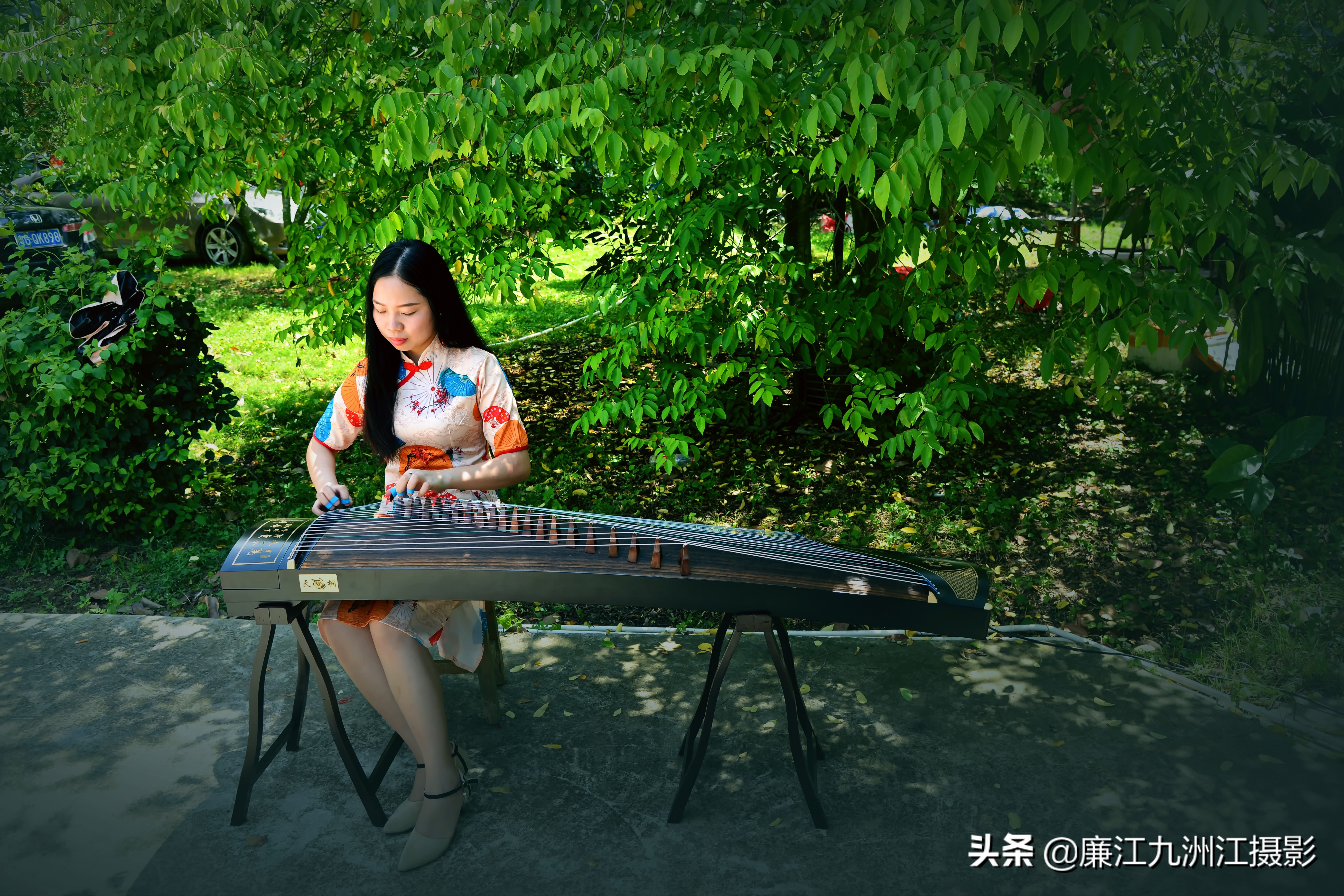 湛江市廉江荔枝节开幕式视频,廉江荔枝文化节