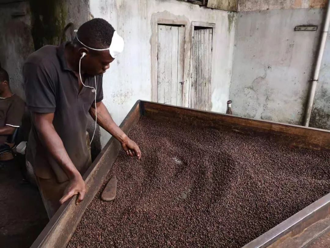 科特迪瓦日记：蜂拥而来的中国人，非洲的未来在哪里？