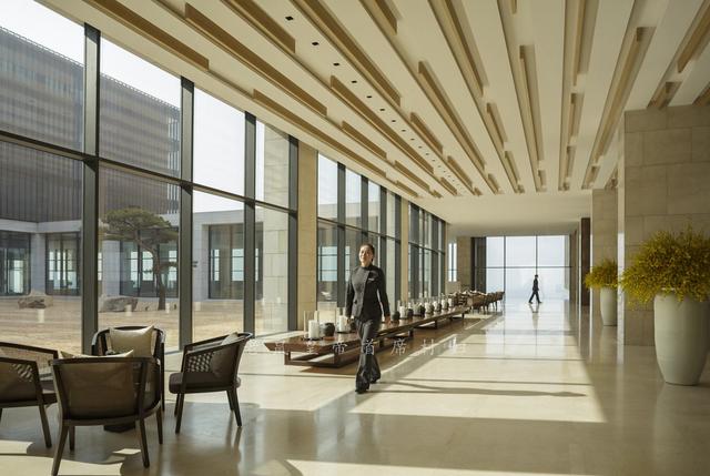 文创酒店设计费多少钱,文创主题酒店