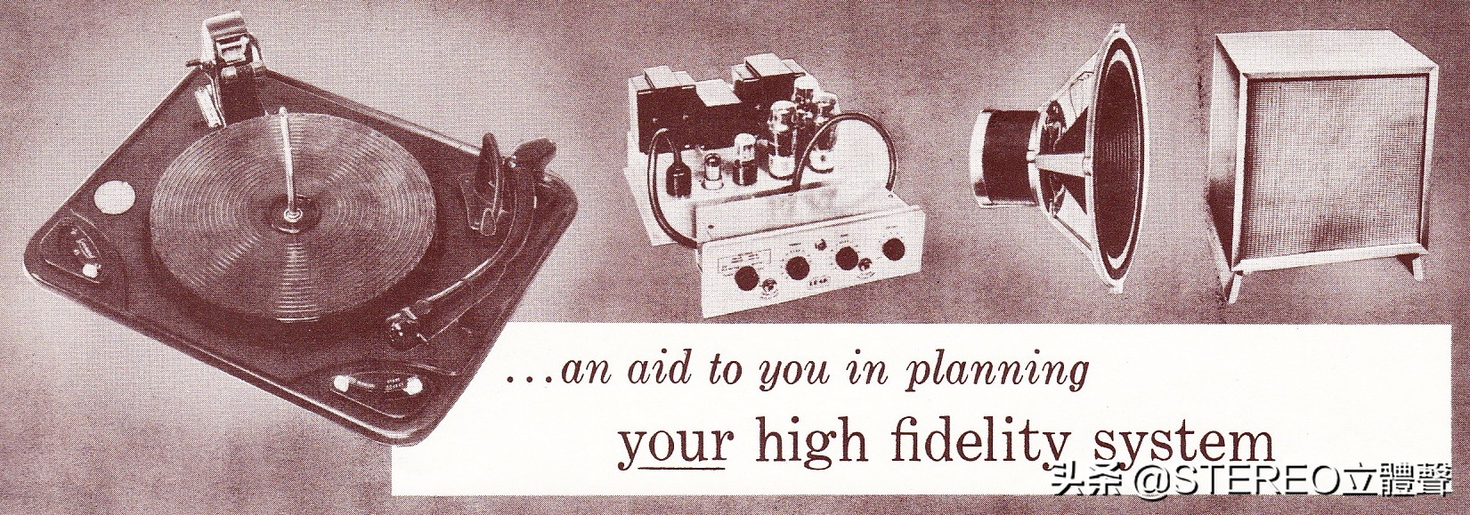 古董档案金铲铲,古董档案电视剧