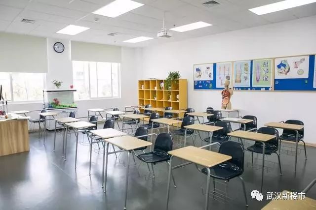 汉街幼儿园是武汉最贵的吗,武汉最贵的幼儿园多少钱啊